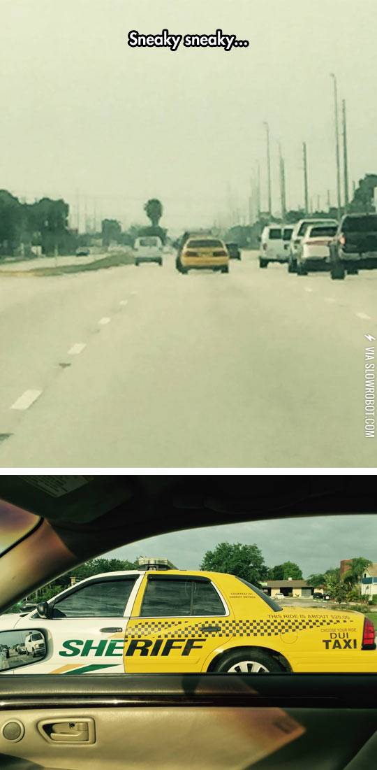 Business+Up+Front%2C+Party+In+The+Back