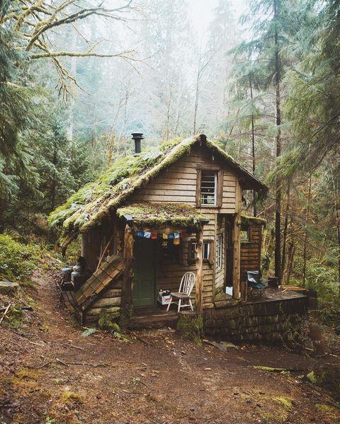 Cozy+little+cabin+in+Washington