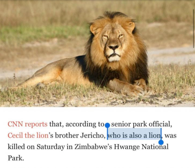 A+lion%26%238217%3Bs+brother+is+also+a+lion%21