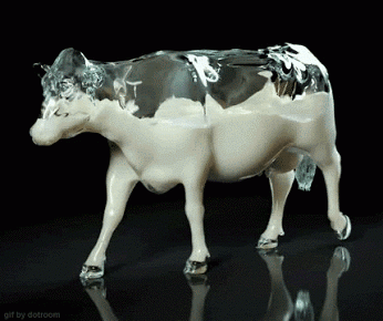This+Is+How+I+Imagine+A+Cow+Looks+Like+Inside