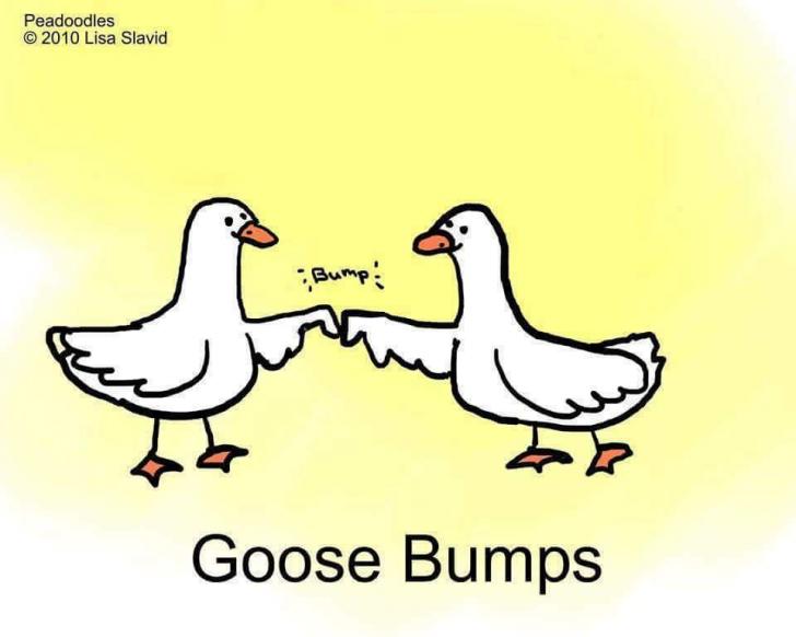 Goose+bumps