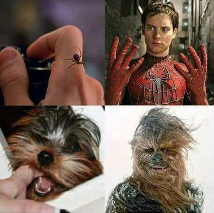 Everybody+loves+an+origin+story.