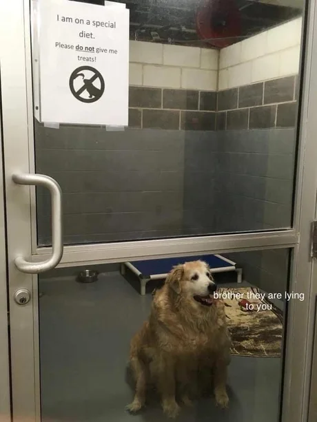 Br%C3%B6ther%2C+just+one+sneck.