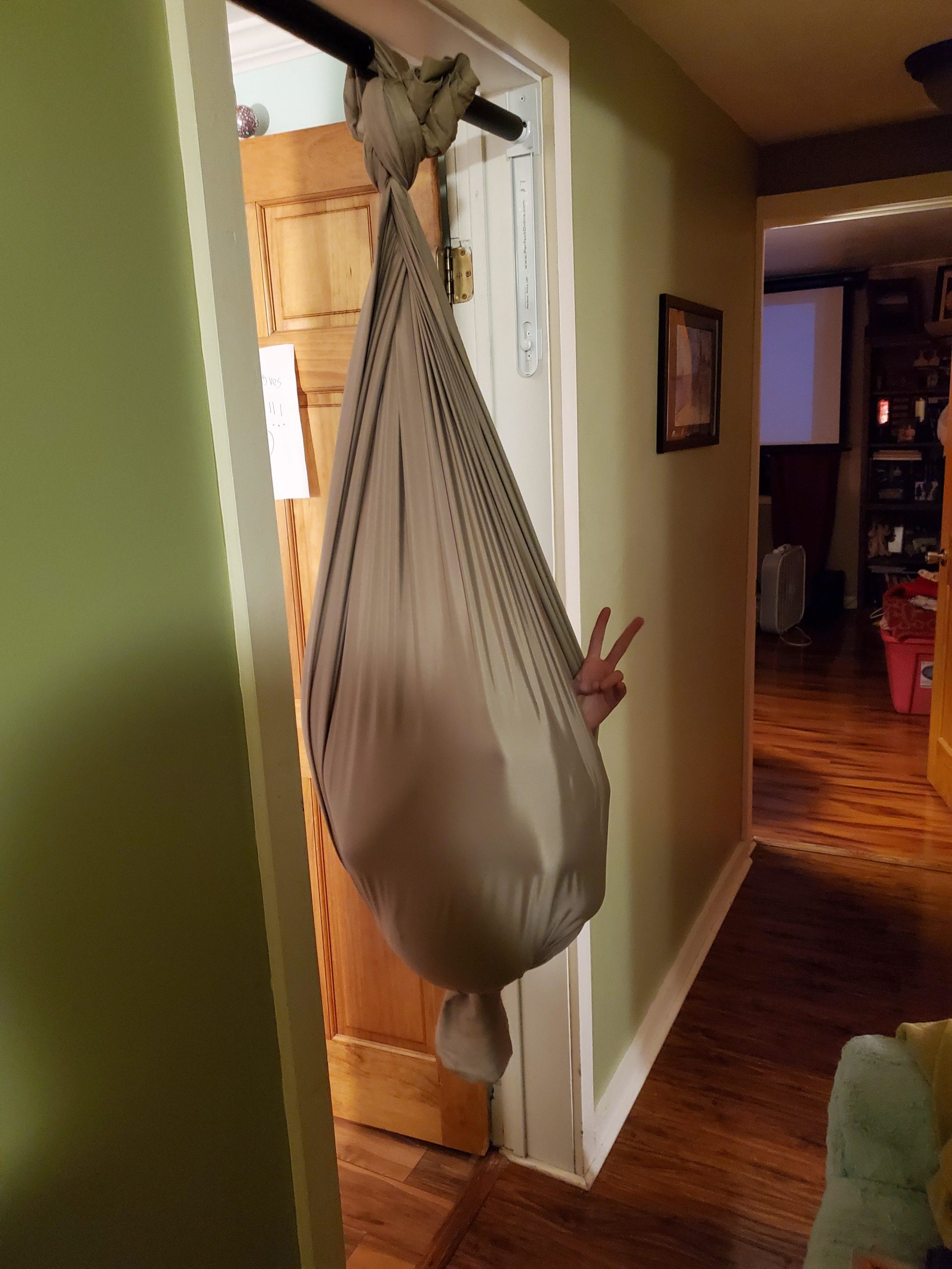 She+suspiciously+asked+for+a+pull+up+bar+for+Christmas.