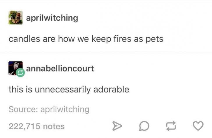 Pets+are+lit.