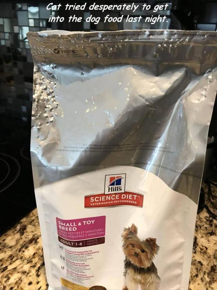 Effort+was+spent%26%238230%3B