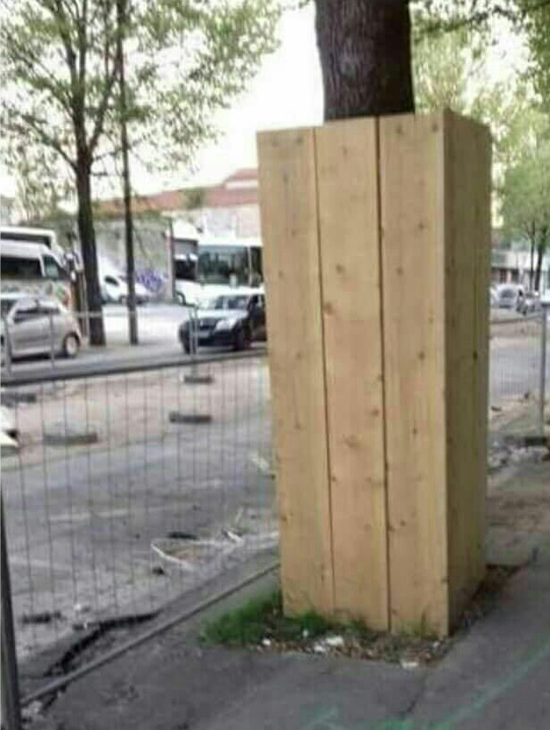 Protect+a+tree+with+the+corpses+of+his+dead+friends