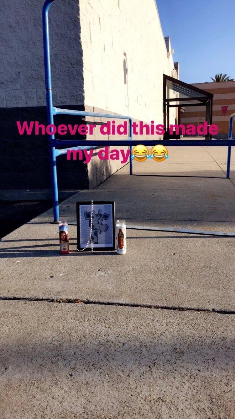 The+people+at+my+local+Toys+R+Us+did+this