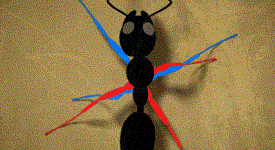 How+ants+do+the+walkin%26%238217%3B.