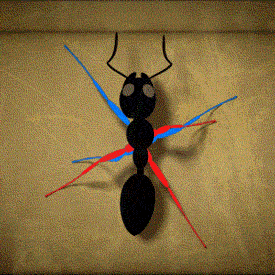 How+ants+do+the+walkin%26%238217%3B.