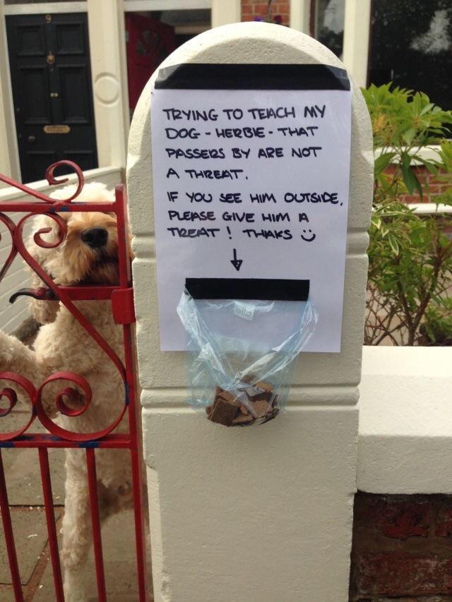 Give+Herbie+some+love