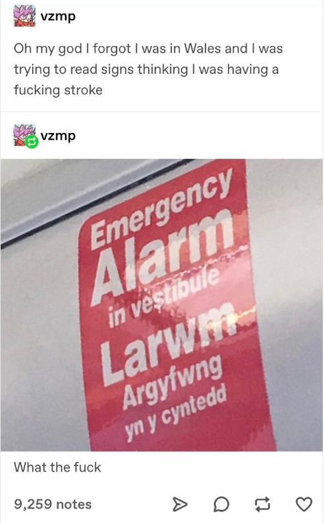 What+even+is+this+language