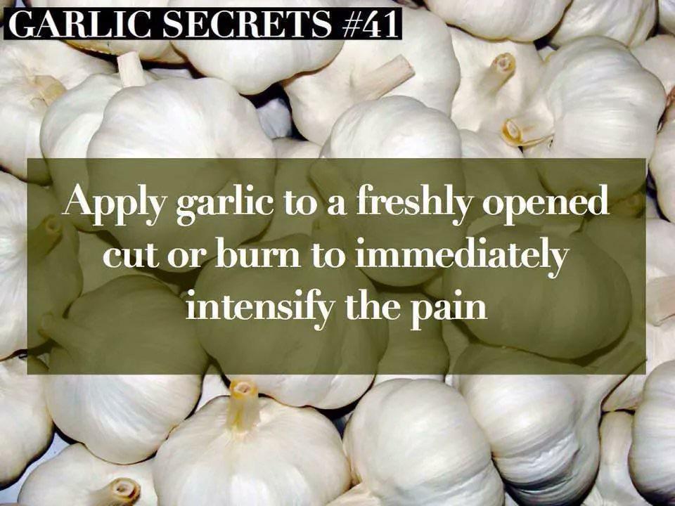 Just+garlic+things.
