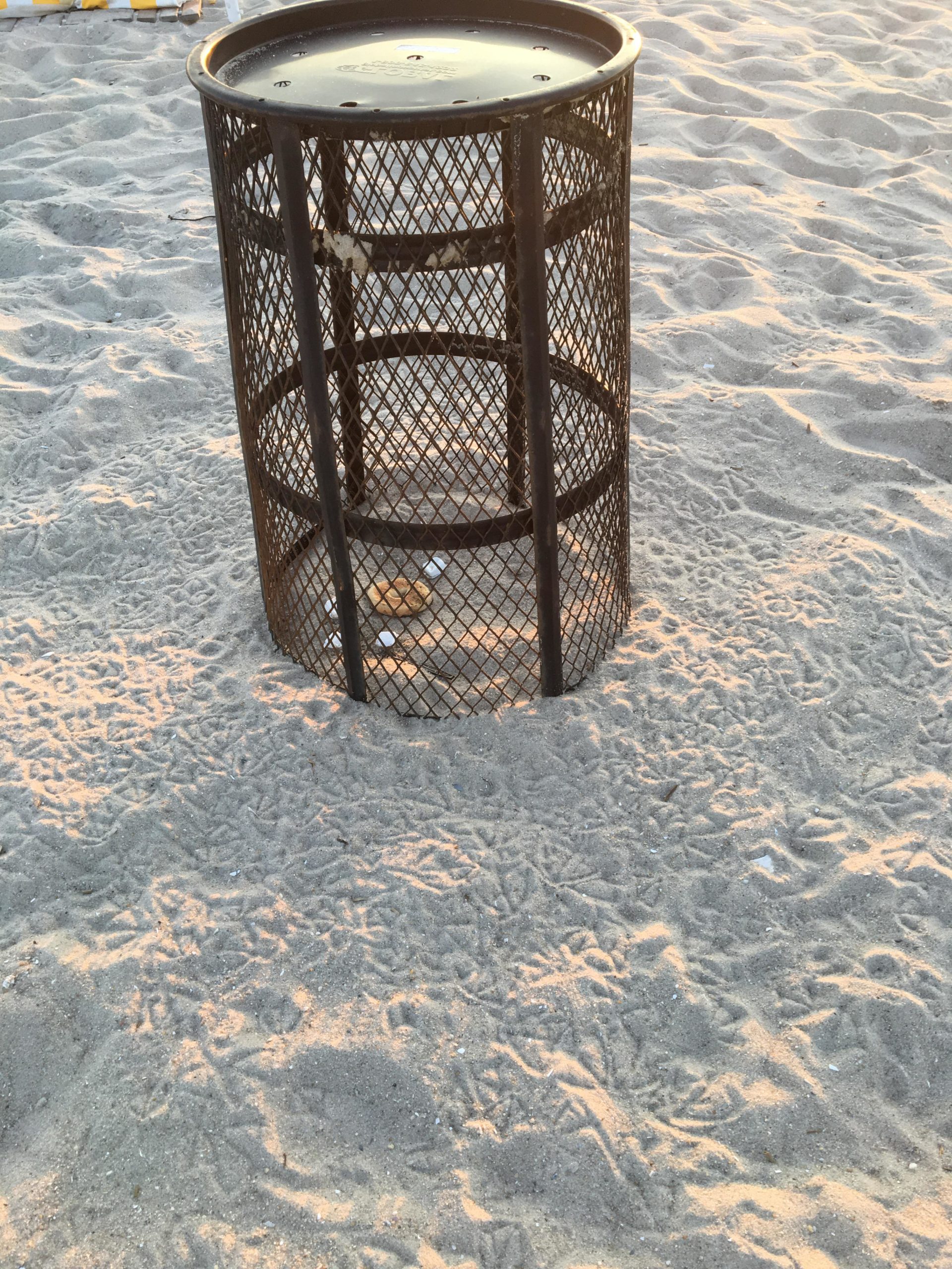 The+seagull+footprints+around+this+trash+can+with+a+bagel+in+it%26%238230%3B