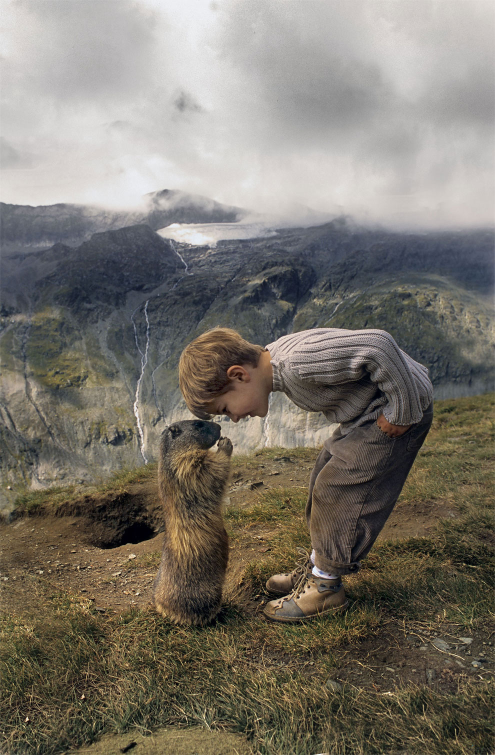 A+Boy+and+his+Marmot.