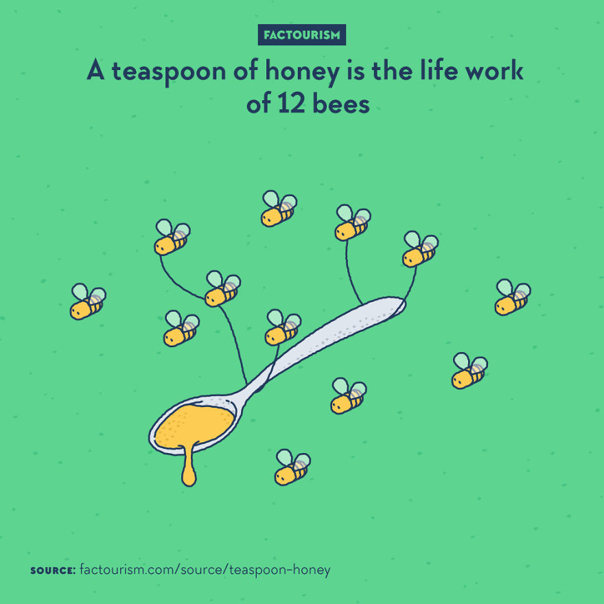 A+tribute+to+the+Bees