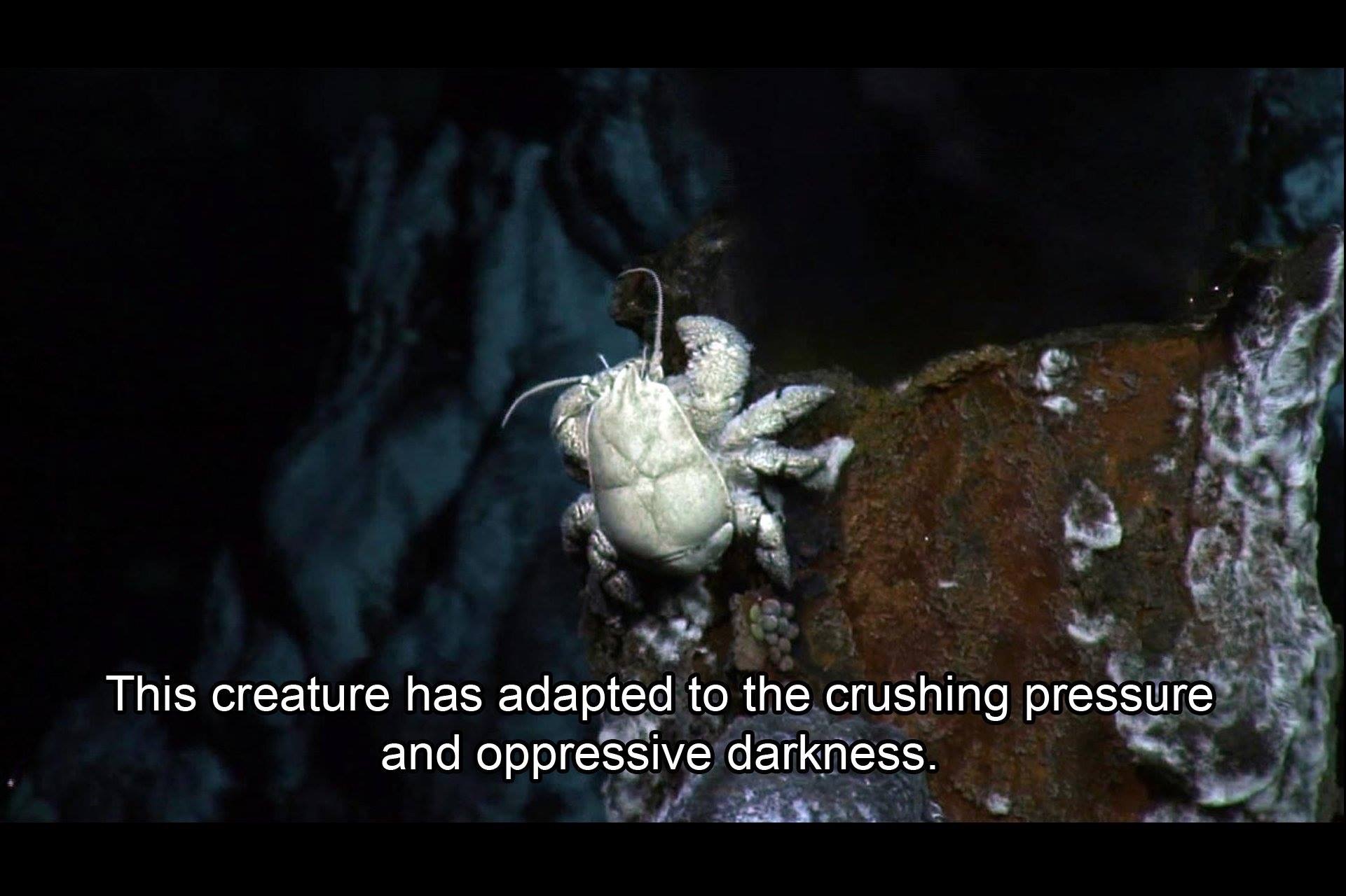 Hello%2C+old+friend.