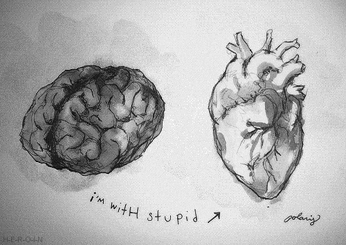 I%26%238217%3Bm+with+stupid.