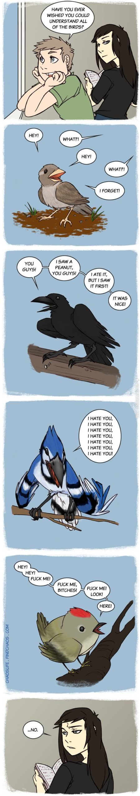 Birds+are+jerks