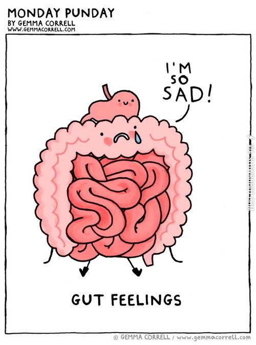 Gut+feelings.