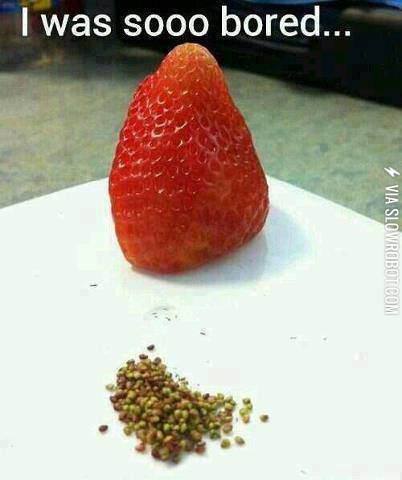 Boredom+level+645872