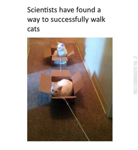 Science%2C+Taking+Care+Of+Things+That+Matter