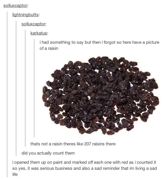 A+Tale+of+207+Raisins