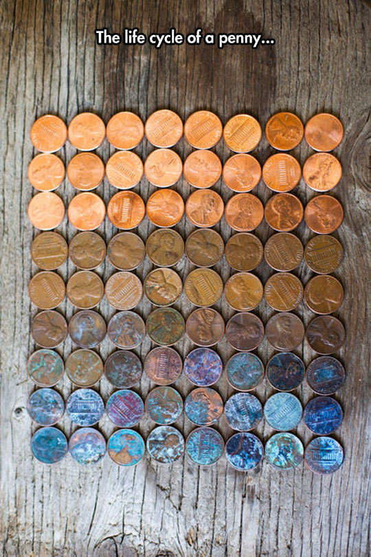 Pennies+all+day