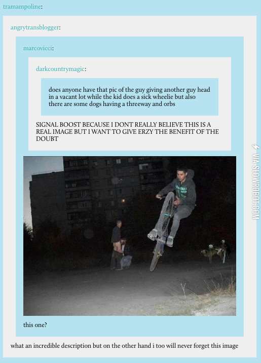 How+does+this+even+exist%3F