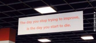 My+gym+is+kind+of+a+grim+place