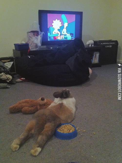 Just+a+bunny+watching+TV.