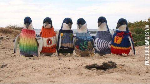 Just+because+we+can%26%23039%3Bt+fly+doesn%26%23039%3Bt+mean+we+can%26%23039%3Bt+look+fly