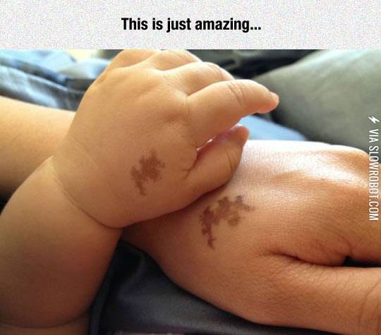 No+DNA+Test+Needed+In+This+Case