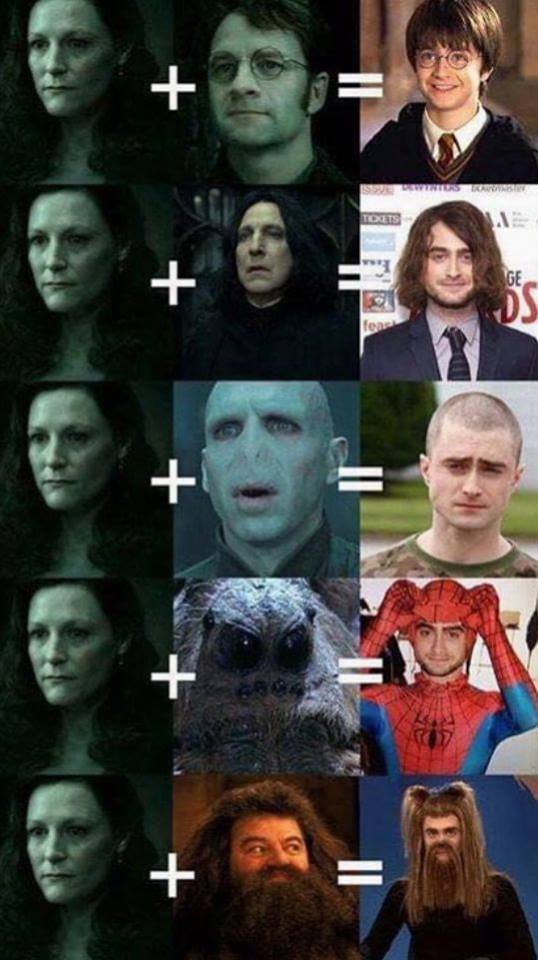 If+Harry%26%238217%3Bs+mom+wouldn%26%238217%3Bt+have+met+James+Potter.
