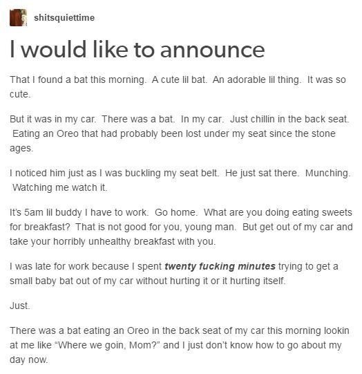 Nanananananana+bat+mom