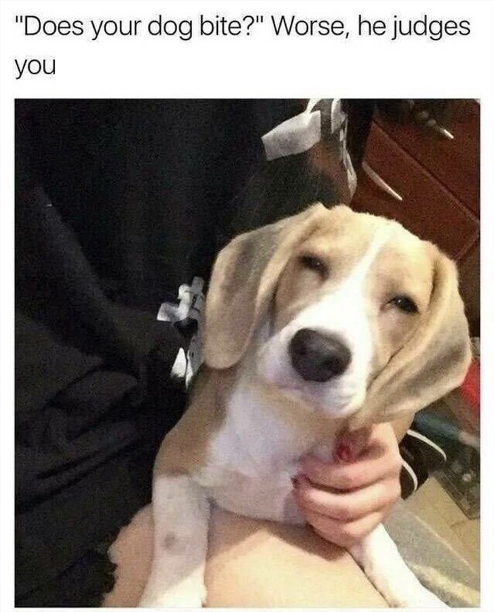 I+Know+What+u+Did+Last+Summer