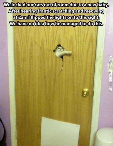 Here%26%23039%3Bs+Johnny%21