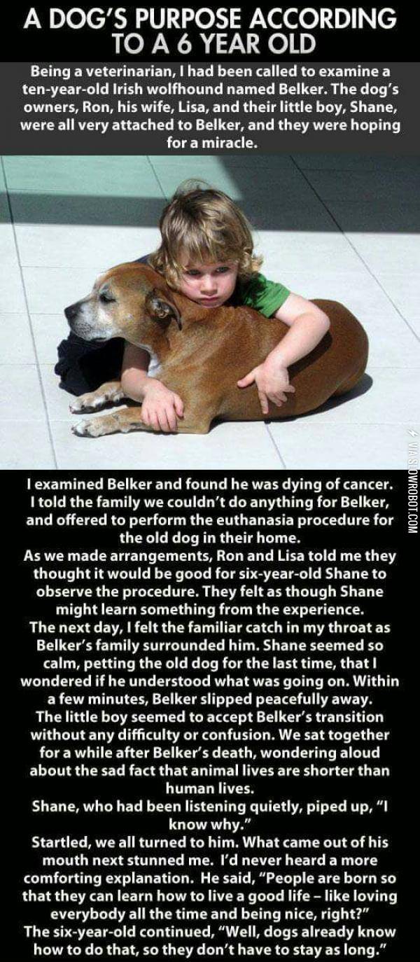 A+dog%26%238217%3Bs+purpose+according+to+a+6+year+old