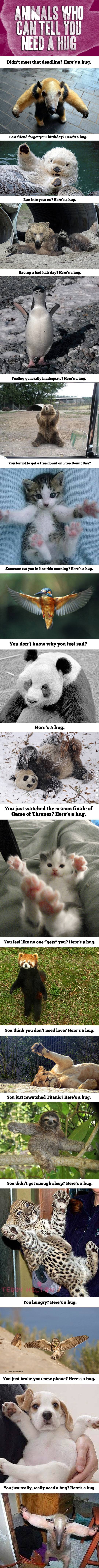 Here%26%238217%3Bs+a+hug.