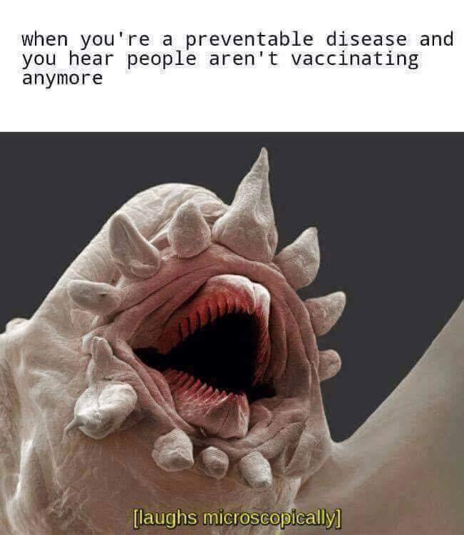 Laughs+Microscopically