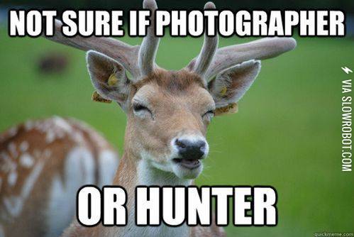 Suspicious+deer+is+suspicious.
