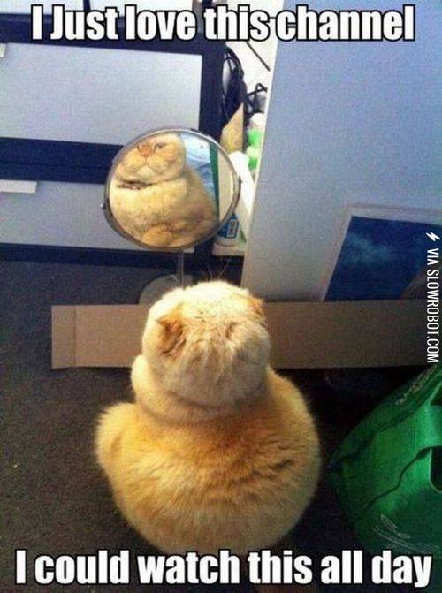 I+just+love+this+channel.