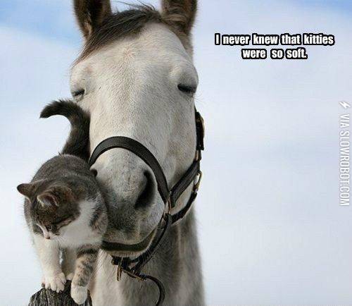 It%26%238217%3Bs+true.