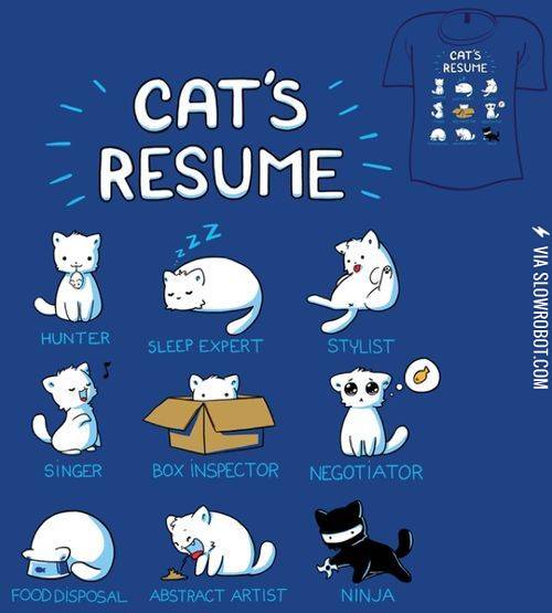 Cat%26%238217%3Bs+resume.