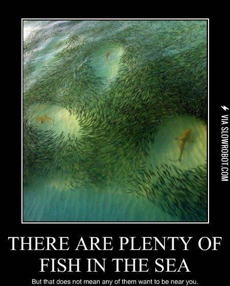 There+are+plenty+of+fish+in+the+sea.