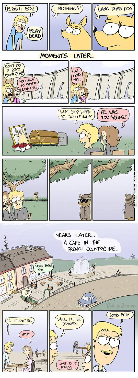 The+Most+Insane+Dog+Trick+Ever+Pulled