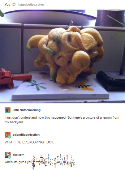 If+life+gives+you+lemons%26%238230%3B