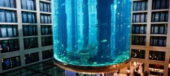 This+aquarium+in+Berlin+has+an+elevator+passing+through+it