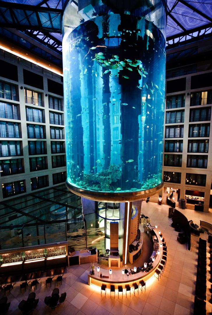 This+aquarium+in+Berlin+has+an+elevator+passing+through+it