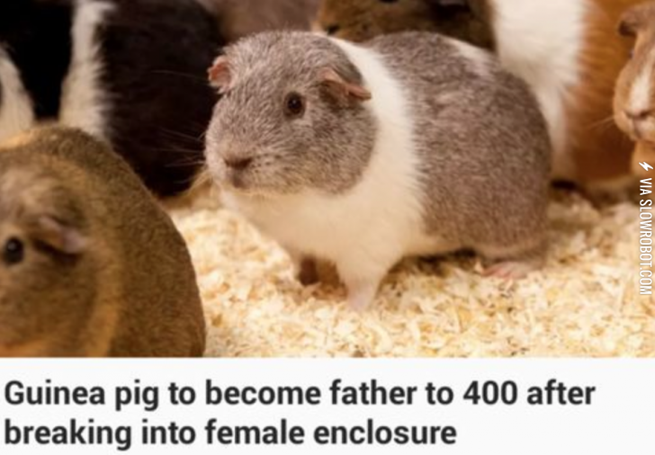 Does+he+look+like+he+has+any+regrets%3F